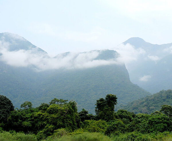 Mahale-Mountains-National-Park-5