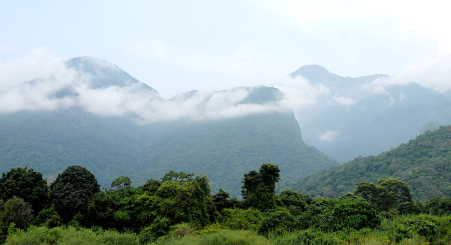 Mahale-Mountains-National-Park-5