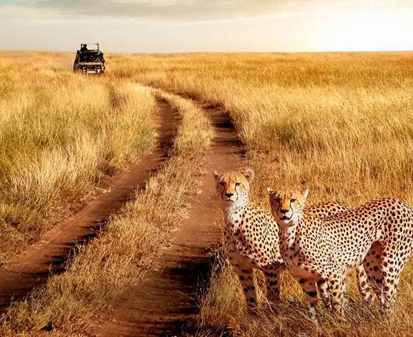 Serengeti-National-Park-3