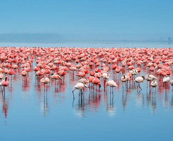lake-eyasi-tanzania-3