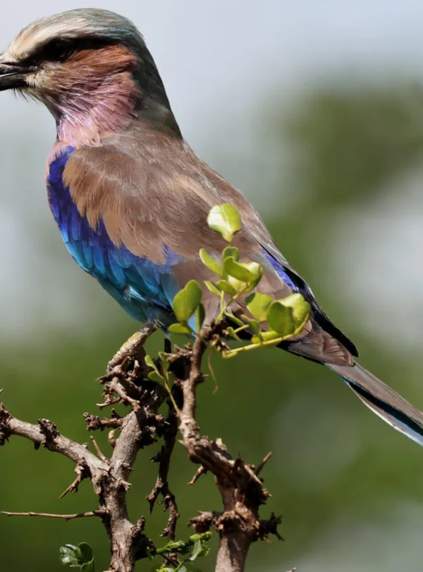 WhatsApp Image 2025-09-12 at 12.22.06_cdaebe99