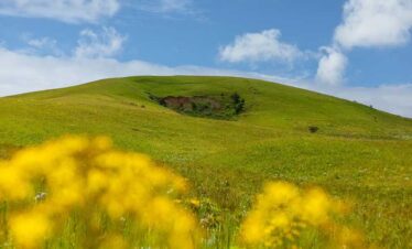 kitulo national park