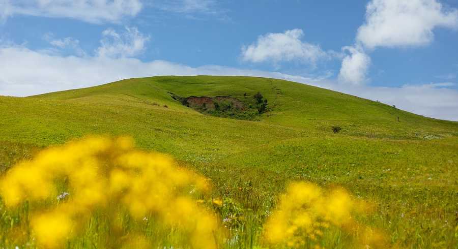 kitulo national park
