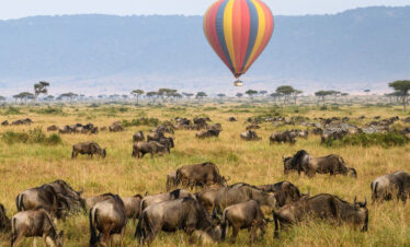 serengeti hot air ballon