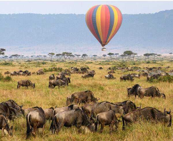 serengeti hot air ballon