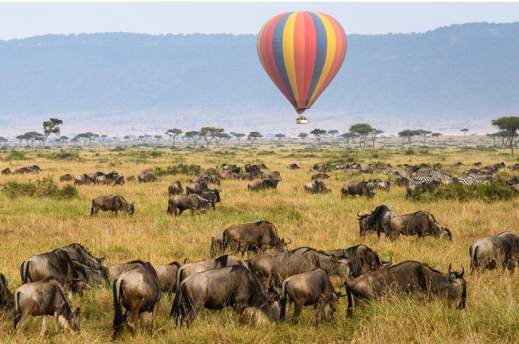serengeti hot air ballon